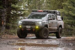 Black Rhino Wheels